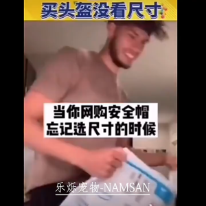 Bark&Purr  พร้อมส่ง หมวกกันน็อคสุนัข สีดำ แมว หมา สัตว์เลี้ยง ABS หมวกกันน็อค คุณภาพสูง หมวกนิรภัยสําหรับสัตว์เลี้ยง