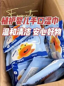 Botare | Portable Hand and Mouth Wet Wipes