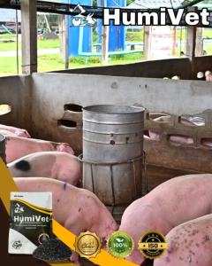 HumiVET Hog Supplement – Pampagana Kumain & Immune Booster para sa Baboy
