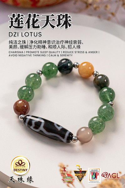 蓮花天珠 蓮花六眼虎牙天珠/ 00114