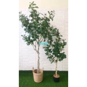 Tanaman Hias Pohon Artificial Kacang T130 & T170 Latex Cover Pot Eceng Gondok Handle Pajangan Ruang Tamu