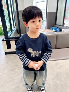 Casual Cotton Long Sleeve T-Shirt for Boys Cartoon Print Autumn Spring Seasonal Wear Comfortable Breathable Pure Cotton Shirt