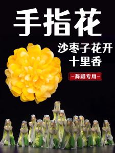 Nhẫn Vàng Giả Cổ Điển Dùng Cho Khiêu Vũ Phụ Kiện Khiêu Vũ Cổ Điển Dành Cho Trẻ Em Hoa Ngọc Trai Thơm Từ Xa