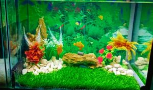 Rumput Sintetis aquarium UK 50 cm x 30cm/ rumput Sintetis aquarium/Dekorasi aquarium.