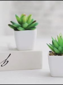 Kaktus Mini & Tanaman Hias Plastik untuk Dekorasi\\n\\nTanaman hias adalah elemen penting dalam dekorasi rumah dan ruang kerja. Salah satu pilihan yang semakin populer adalah tanaman hias plastik, seperti kaktus mini, yang memberikan kesan alami tanpa perlu merawat tanaman asli. Artikel ini akan membahas berbagai jenis kaktus mini plastik, cara memilih dan merawatnya, serta manfaatnya dalam dekorasi interior.\\n\\n Tanaman Hias Plastik: Pilihan Dekorasi yang Praktis\\n\\nTanaman hias plastik, termasuk kaktus mini, adalah solusi ideal bagi mereka yang tidak memiliki waktu atau kemampuan untuk merawat tanaman asli. Dengan berbagai model dan ukuran, kaktus mini plastik dapat menambah kesan alami pada ruangan tanpa perlu perawatan intensif.\\n\\n Kaktus Mini Plastik: Variasi Menarik untuk Meja\\n\\nKaktus mini plastik tersedia dalam berbagai bentuk, warna, dan ukuran, sehingga cocok untuk berbagai gaya dekorasi. Beberapa contoh kaktus mini plastik yang populer antara lain:\\n\\n* Kaktus mini berwarna hijau dengan duri-duri kecil\\n* Kaktus mini berwarna merah muda dengan bunga kecil di atasnya\\n* Kaktus mini berwarna abu-abu dengan tekstur seperti batu\\n\\n Aneka Kaktus Mini: Pilihan Dekorasi untuk Interior\\n\\nSelain kaktus mini plastik, ada juga berbagai jenis kaktus mini lainnya yang cocok untuk dekorasi interior. Beberapa contoh kaktus mini yang populer antara lain:\\n\\n* Kaktus mini berduri kecil dengan warna hijau gelap\\n* Kaktus mini berbentuk bola dengan warna hijau muda\\n* Kaktus mini berbentuk kerucut dengan warna merah muda\\n\\n Memilih Tanaman Hias Plastik yang Sesuai\\n\\nMemilih tanaman hias plastik yang tepat sangat penting untuk menciptakan kesan alami yang sesuai dengan gaya dekorasi ruangan. Berikut beberapa tips untuk memilih kaktus mini plastik yang berkualitas:\\n\\n* Perhatikan kualitas material dan detail tanaman\\n* Pilih ukuran dan bentuk yang sesuai dengan ruangan\\n* Perhatikan warna dan tekstur tanaman\\n\\n Cara Memilih Kaktus Mini Plastik yang Berkualitas\\n\\nUntuk memilih kaktus mini plastik yang berkualitas, perhatikan hal-hal berikut:\\n\\n* Pilih kaktus mini plastik dengan material yang kuat dan tahan lama\\n* Perhatikan detail tanaman, seperti tekstur duri dan warna\\n* Pilih ukuran dan bentuk yang sesuai dengan ruangan\\n\\n Tips Memilih Aneka Kaktus Mini untuk Dekorasi\\n\\nBerikut beberapa tips untuk memilih aneka kaktus mini yang cocok untuk dekorasi interior:\\n\\n* Pilih kaktus mini dengan warna dan tekstur yang sesuai dengan gaya dekorasi ruangan\\n* Perhatikan ukuran dan bentuk kaktus mini agar sesuai dengan ruangan\\n* Pilih kaktus mini dengan detail yang menarik, seperti bunga atau tekstur unik\\n\\n Perawatan Tanaman Hias Plastik\\n\\nMeskipun tanaman hias plastik tidak memerlukan perawatan intensif seperti tanaman asli, tetap ada beberapa hal yang perlu diperhatikan untuk menjaga kualitas dan tampilan tanaman. Berikut beberapa tips untuk merawat kaktus mini plastik:\\n\\n* Bersihkan tanaman secara teratur dengan kain lembut\\n* Hindari paparan sinar matahari langsung atau udara panas\\n* Jangan merusak tanaman dengan menyentuhnya terlalu keras\\n\\n Cara Merawat Kaktus Mini Plastik dengan Mudah\\n\\nBerikut beberapa tips untuk merawat kaktus mini plastik dengan mudah:\\n\\n* Bersihkan tanaman secara teratur dengan kain lembut\\n* Hindari paparan sinar matahari langsung atau udara panas\\n* Jangan merusak tanaman dengan menyentuhnya terlalu keras\\n\\n Tips Merawat Aneka Kaktus Mini untuk Dekorasi Interior\\n\\nBerikut beberapa tips untuk merawat aneka kaktus mini untuk dekorasi interior:\\n\\n* Bersihkan tanaman secara teratur dengan kain lembut\\n* Hindari paparan sinar matahari langsung atau udara panas\\n* Jangan merusak tanaman dengan menyentuhnya terlalu keras\\n\\n Manfaat Tanaman Hias Plastik untuk Dekorasi\\n\\nSelain memberikan kesan alami, tanaman hias plastik juga memiliki berbagai manfaat lainnya dalam dekorasi interior. Berikut beberapa manfaat kaktus mini plastik dalam dekorasi interior:\\n\\n* Membuat ruangan lebih menarik dan segar\\n* Memberikan kesan alami tanpa perlu merawat tanaman asli\\n* Dapat digunakan sebagai elemen dekorasi yang mudah dipindahkan\\n\\n Membuat Ruangan Lebih Menarik dengan Kaktus Mini Plastik\\n\\nKaktus mini plastik dapat membuat ruangan lebih menarik dan segar dengan memberikan kesan alami tanpa perlu merawat tanaman asli. Kaktus mini plastik juga dapat digunakan sebagai elemen dekorasi yang mudah dipindahkan untuk menciptakan suasana baru dalam ruangan.\\n\\n Manfaat Aneka Kaktus Mini untuk Desain Interior\\n\\nBerikut beberapa manfaat aneka kaktus mini untuk desain interior:\\n\\n* Membuat ruangan lebih menarik dan segar\\n* Memberikan kesan alami tanpa perlu merawat tanaman asli\\n* Dapat digunakan sebagai elemen dekorasi yang mudah dipindahkan\\n\\nDengan berbagai jenis kaktus mini plastik dan aneka kaktus mini lainnya, Anda dapat menciptakan dekorasi interior yang menarik dan segar tanpa perlu merawat tanaman asli. Selamat mencoba!\n}