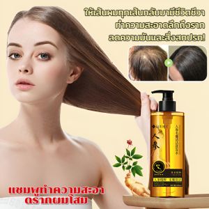 แชมพูโสมควบคุมความมัน ฟู ขจัดรังแค แก้คัน ใบไซเปรส ป้องกันผมร่วง เจริญพันธุ์ ผมหงอก ทำความสะอาดรูขุมขนด้วยขิง人参洗发水