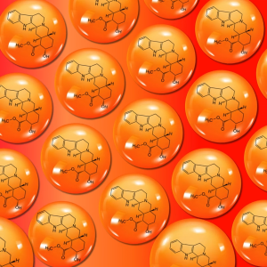 PrimaForce Yohimbine HCL 2.5 mg(270 Capsules)  โยฮิมไบน์ HCL เบิร์นไขมัน ลดน้ำหนัก ให้กล้ามลีนฟิตกระชับ เพิ่มสมรรถภาพทางเพศ และซัพพอร์ตการฝึกซ้อม