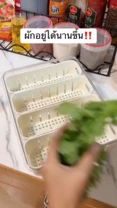 กล่องเก็บของในตู้เย็นป้องกันฝุ่น สไตล์ญี่ปุ่นตู้เย็นกล่องเก็บที่มีฝาปิด4/8ผลไม้ผักระบายน้ําสองชั้นตู้เย็นกล่องถนอมอาหารผักผลไม้กล่องเก็บกี่