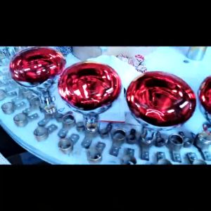 Poultry Heating Bulb 100w 200W Infrared Insulation Heating for Reptiles Plants Amphibians Pets Livestock Warm Bulbs