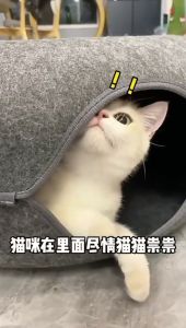 Terowong Kucing Mainan Kucing Sarang Hangat Kucing dengan Tempat Tidur dan Fun Teaser