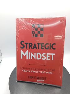 Strategic Mindset ^ Thibaut Meurisse