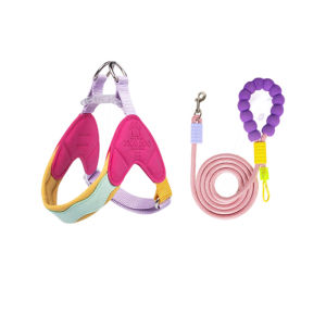 Teekland Dog Harness Leash Set No Pull Y-shaped Dog Harness for Small Dogs Shiba Inu Corgi Puppy Chest Straps Macaron Color Matching Pet Outdoor Products