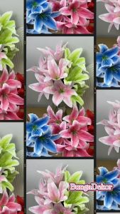 Bunga Lily Bintik Jumbo X5 Artificial / Bunga Hias / Bunga Dekor cocok untuk ruang tamu kantor rumah / COD
