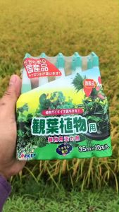 ปุ๋ย ปักดิน Yorkey ยกแพ็ค10 ขวด ปุ๋ย ปัก ญี่ปุ่น ปุ๋ยน้ำ ปุ๋ย แอมเพิล ปุ๋ยปัก ลง กระถาง ปุ๋ยน้ำ ปักดิน