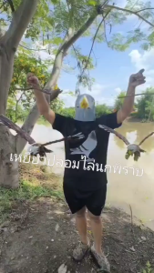 ไล่นก อุปกรณ์ไล่นก เหยี่ยวไล่นก ไล่นกพิราบ ไล่นกกระจอก รุ่นใหม่ ทนทาน เทคนิคไล่นกแบบธรรมชาติ แถมอุปกรณ์แขวนครบชูด