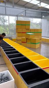 Sơn chống thấm tăng độ bền cho thùng xốp bể cá cảnh hồ cá cảnh xi măng nuôi cá không độc hại