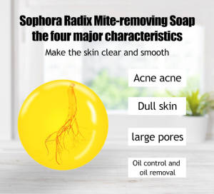 Ginseng & Bitter Herb Facial Soap - Deep Cleansing Bar for Men/Women | Natural Oil Control & Skin Purifying Formula ( Acne & Blemish Care)