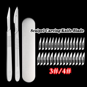 13pcs/set Carbon Steel Scalpels Surgical With 10 Sterile Blades Grafting Kinves Set With Metal Case