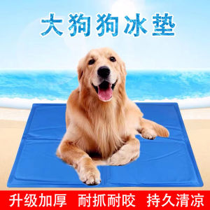 แผ่นรองตากลางแจ้งแบบหนาสำหรับสุนัขขนาดใหญ่ แผ่นรองตากลางแจ้งสำหรับสุนัขขนาดใหญ่ที่ทนทานต่อการเคี้ยว แผ่นรองนอนแบบเย็นสำหรับฤดูร้อน ขนาดใหญ่ แผ่นรองนอนสำหรับสุนัข Golden Retriever