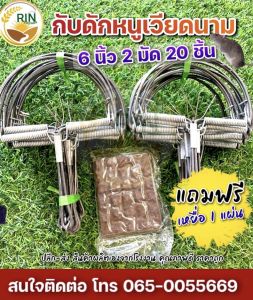 (ส่งด่วน) 6 นิ้ว 2 มัด 20 ชิ้น เเถมขี้ใต้ 1 แผ่น 225฿