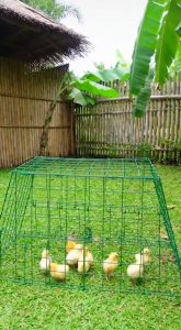 Greenpets Chicken Cage Trapezoidal Chicken Coop Multiple Sizes Heavy Duty Ventilation Design for 10 Chickens Poultry Farm Easy Clean