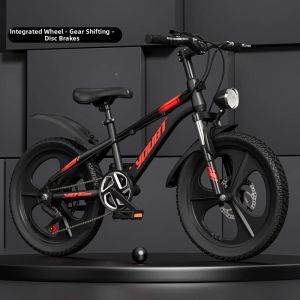 Adjustable Speed Mountain Bike 22 inch