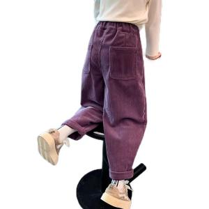 Boys and Girls Fleece Padded Pants 2024 Autumn and Winter New Arrival Western Style Kids Corduroy Casual Pants Thickening Wide Leg Pants Tide