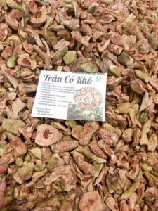 Chuẩn 1kg quả trâu cổ khô tốt cho sức khỏe