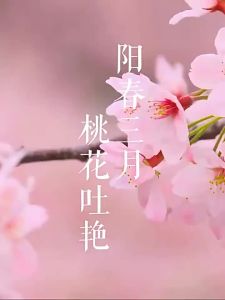 Special Grade Rose Herbal Petals Dry Peach Flower Infusion