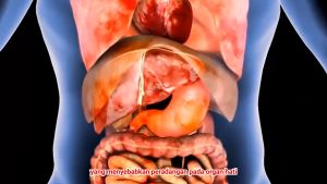 Obat Liver Original Libaver Bharata Paling Ampuh Hepatitis Penyakit Kuning Obat Kanker Hati