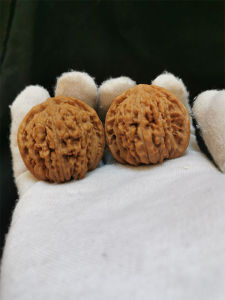 Four Buildings Lions Head Juglans Hopeiensis Hand Toy Playing Stump Triangle White Lion Apple round Grinding Plate Collection Walnuts