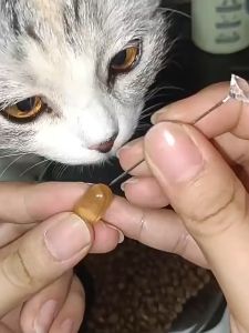 Cat and Dog Supplements Fish Oil 1200mg 60 capsules Minyak Ikan untuk kucing & anjing Supplement Kucing