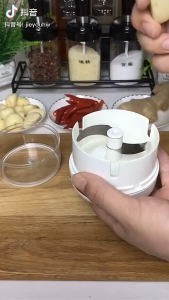 EACC - New Mini Manual Garlic Chopper - Kitchen Chopper Masher Hand Food Processor Mini Garlic Press for Garlic Vegetables Fruits Baby Food Onion Cutter