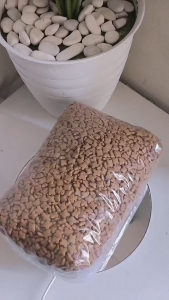 Meo kitten ocean fish 1kg me-o makanan anak kucing protein tinggi bergizi