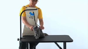 Pet Grooming Table Foldable Heavy Duty Iron Frame With Arm Noose Non Slip Desktop Cat Dog Grooming Table Home Use
