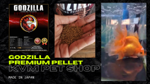 Godzilla Sinking Pellet Japan Color and Muscle Mass Enhancer Rapid Growth Goldfish Food