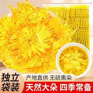 Large Golden Chrysanthemum Flower Tea Big Cup