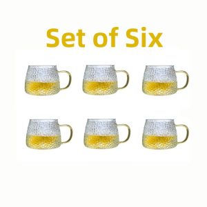 Heat-Resistant Hammered Borosilicate Glass Cup