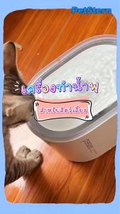 PetStern น้ำพุสัตว์เลี้ยงไร้สาย UVC การฆ่าเชื้อด้วยรังสี น้ําพุอัตโนมัติ พร้อมปั๊มไร้สาย Smart Pet Fountain 2500ML ปิดเส