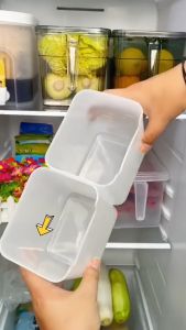 Set 10 Hộp Nhựa Đựng Thực Phẩm Đồ Ăn Rau Củ Để Cánh Cửa Tủ Lạnh Đa Năng Tiện Lợi