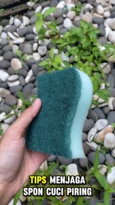 Spon Cuci Piring Sponge Medium Duty Pad 3M Handpad Eco Green 1pcs Sponge Hijau Untuk Masak Spon Cuci Ukuran 15X10Cm - Lazada