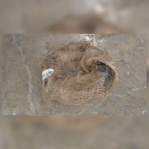 Kawat Bendrat BWG 21 & Rol Gulungan 20kg: Kualitas & Harga Terbaik