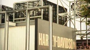 Harley Davidson Official Sunglasses | Mens Casual Square Collection | Havana Brown frames with Smoke Brown Lenses  | HD0146V | Imported from USA