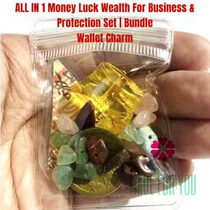 MFY All in1 Money lucky wealth for business & protection bundle set business wallet bag home lucky charm bundle set Blessed