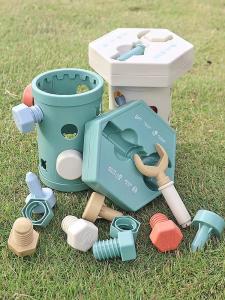 Đồ Chơi Trẻ Em Từ Tính Vít Vít Hàn Luyện Kỹ Năng Cầm Nắm Đồ Chơi Giáo Dục Sớm Lắp Ráp Đồ Chơi Giáo Dục