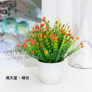 Bình Hoa Nhựa Trang Trí Trong Nhà Phòng Khách Hoa Nhựa Chống Thấm Nước Phong Cách Hiện Đại Trang Trí Nhà Cửa Hoa Nhựa