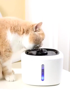 SG READY STOCK | STAINLESS STEEL Water Dispenser with LED Lights