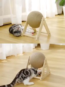 บอลลับเล็บ ที่ลับเล็บแมว ของเล่นแมว ลูกบอลฝนเล็บแมว คอนโดแมว