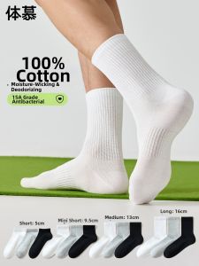 Antibacterial Deodorant Summer Thin Boneless Long Socks