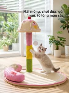 SHENJINGMAO | Cây Cào Mèo Bền Không Rụng Lông